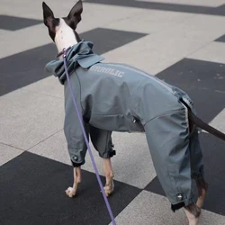 Impermeable para perros con cuello alto - Ajuste cómodo en tallas