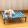 Cat paradise