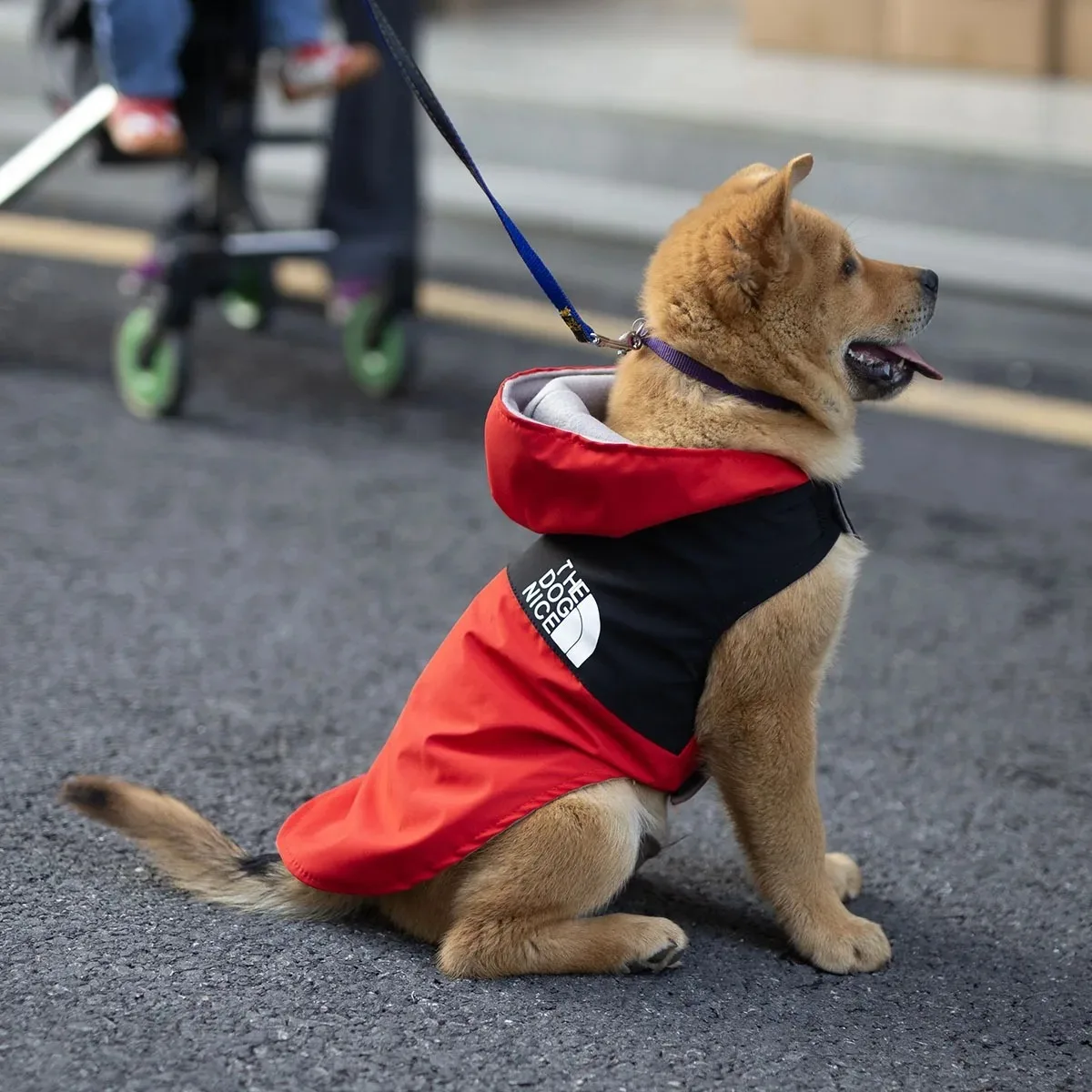Ropa para perros, ropa de verano para cachorros, perros de compañía, camisas para mascotas, ropa, blusa, camisa, suministros de primavera - imagen 2