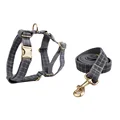 Harness   leash