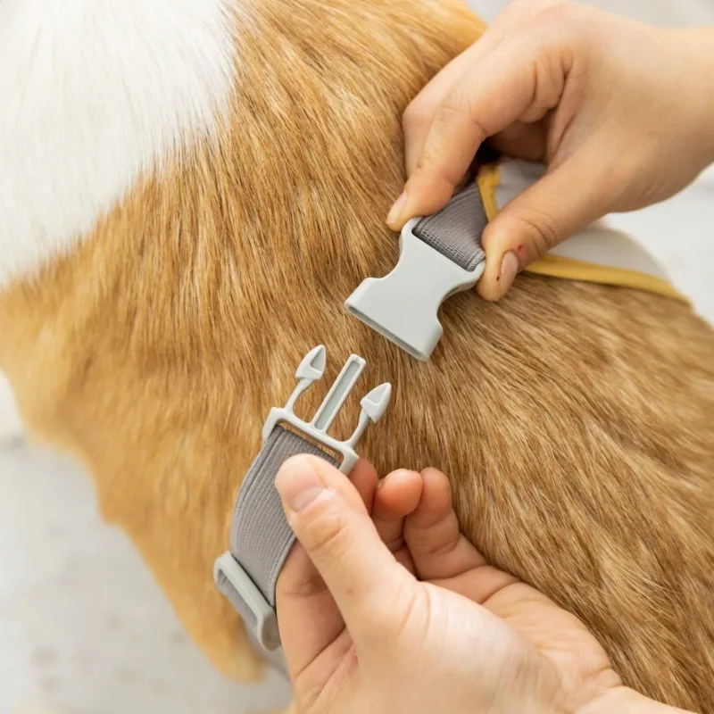 Ropa para mascotas con estampado de dibujos animados, ropa impermeable para el vientre, ropa para el vientre para perros pequeños y medianos, ropa Universal para las cuatro estaciones - imagen 4