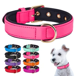 Collar impermeable para perros – Nailon acolchado y transpirable