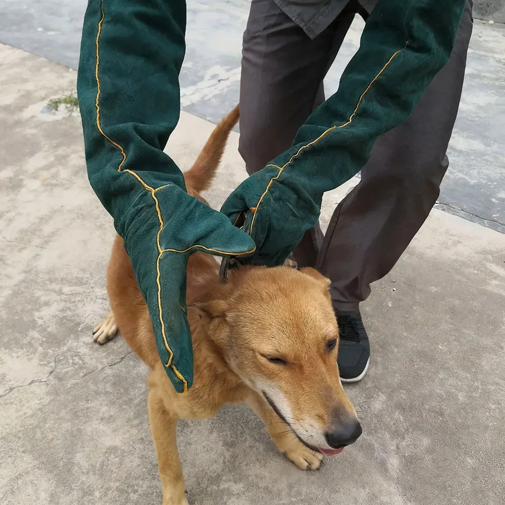 Guantes anti mordeduras y arañazos para perros y gatos, brazo largo - imagen 3