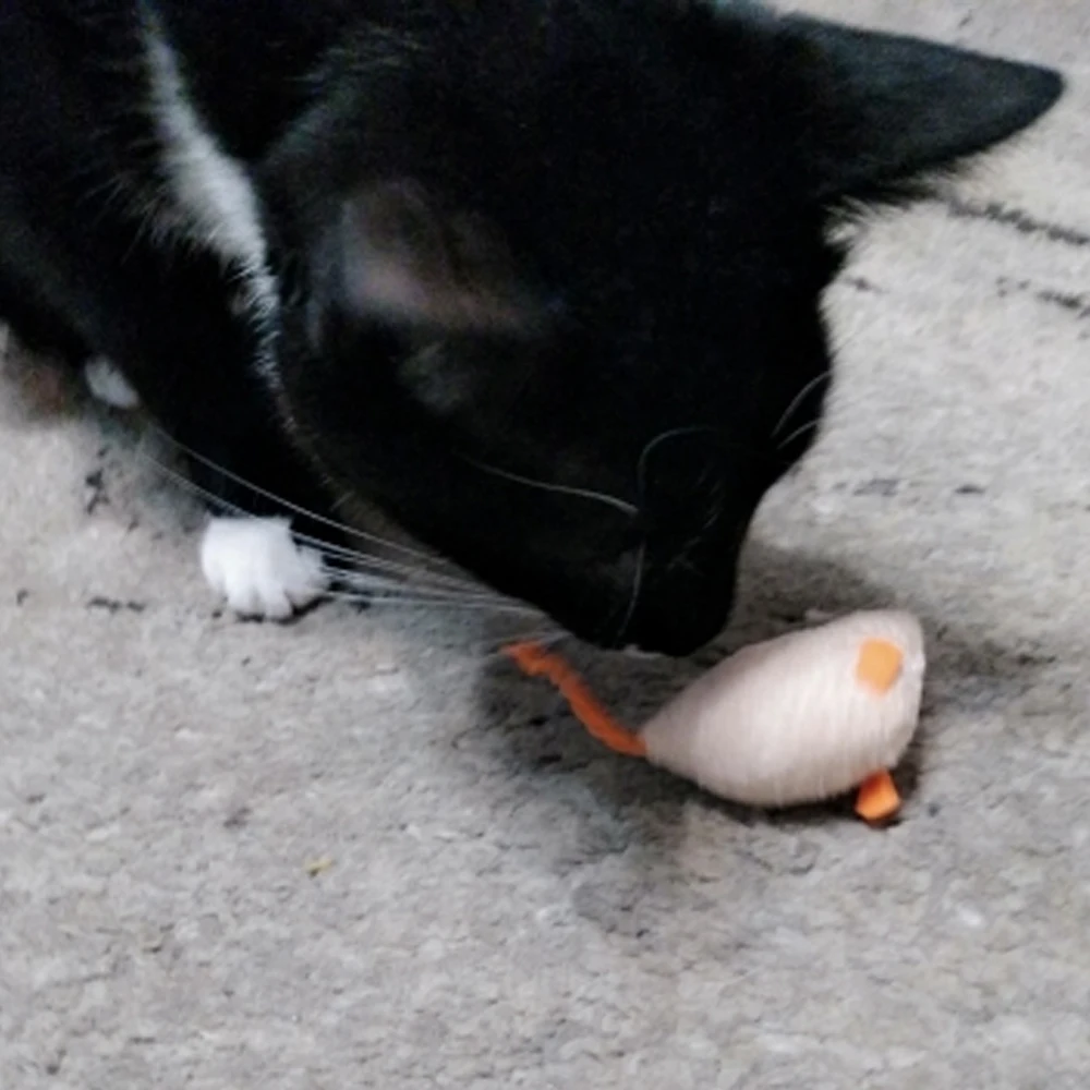 3 Juguetes Gatos Mezcla - Hierba Gatera Ratones Peluche Gatito - imagen 3