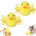 Duck-2pcs