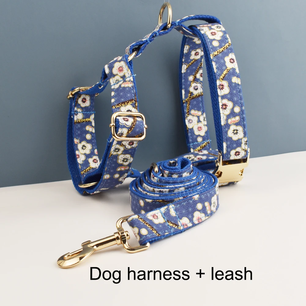 Harness leash