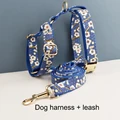 Harness leash