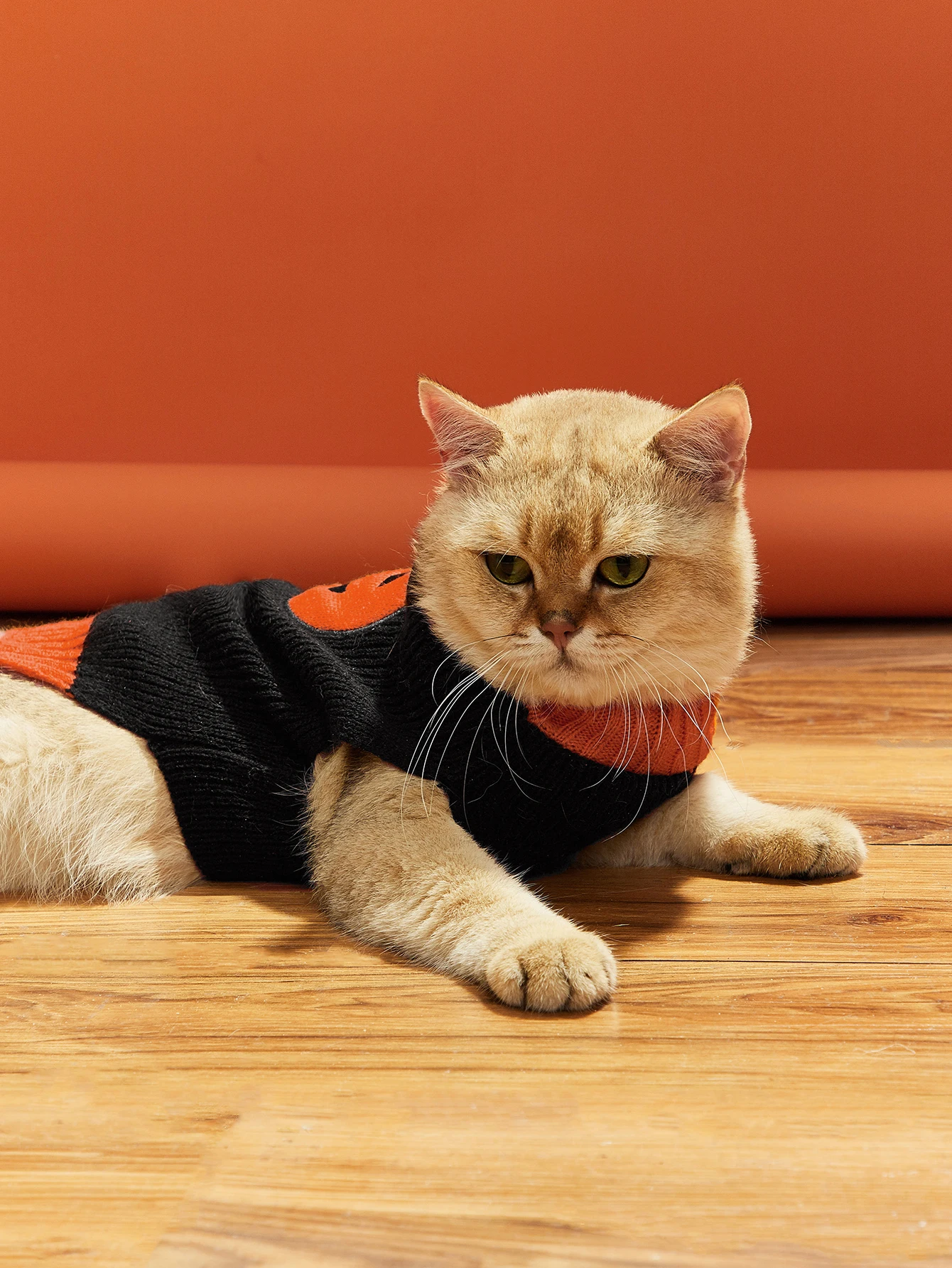 Suéter de calabaza de Halloween para mascotas, ropa de punto para perros y gatos, sudadera para mascotas - imagen 2