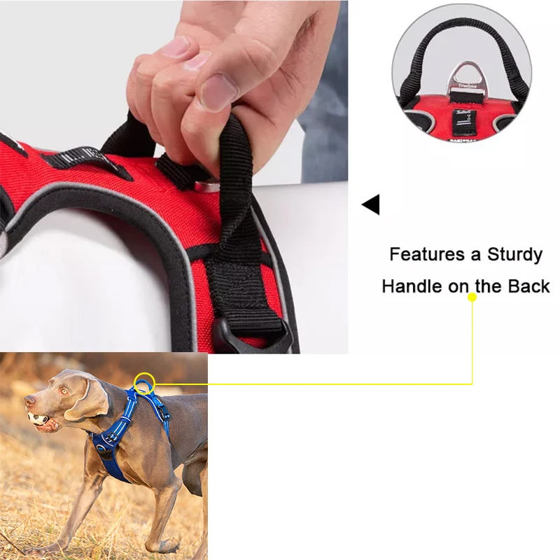Winhyepet-chaleco reflectante para mascotas, arnés acolchado de nailon ligero, ropa protectora de entrenamiento para perros pequeños y grandes - imagen 4