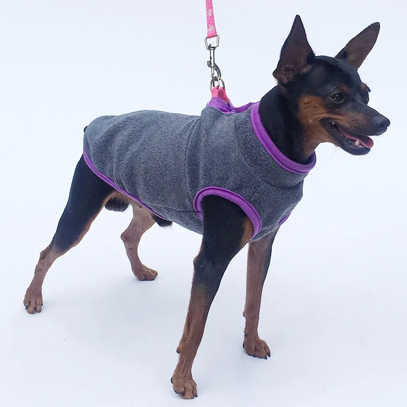 Ropa para perros Otoño Invierno disfraz de lana de colores a juego para perros pequeños Dachshund Yorks cachorro sudaderas con capucha sudadera para ropa para perros - imagen 2