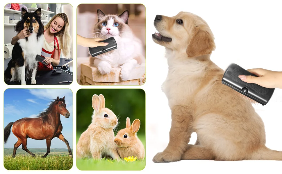 cat deshedding brush,deshedding brush for cats