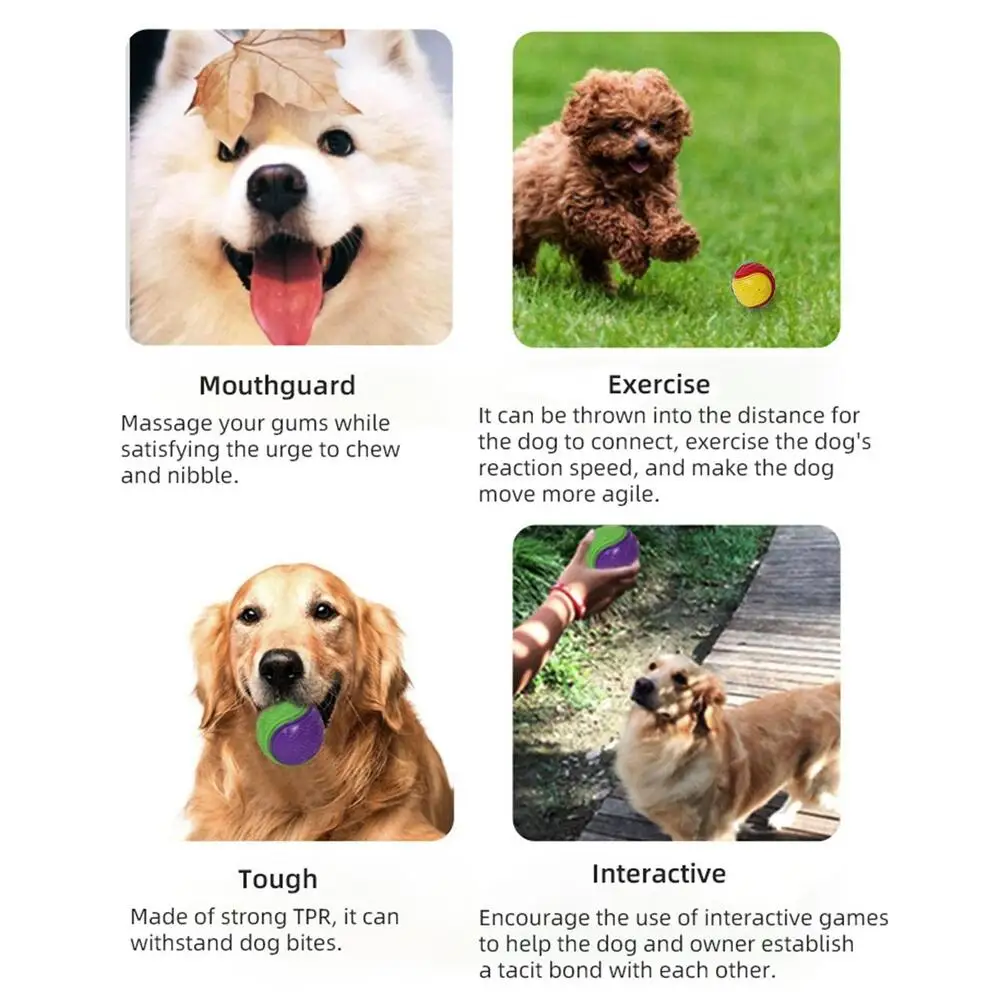 Bola luminosa para perros, pelota de juguete chirriante para perros, pelota de goma para perros pequeños y medianos, juguetes duraderos para buscar perros, juguetes para masticar para cachorros - imagen 3