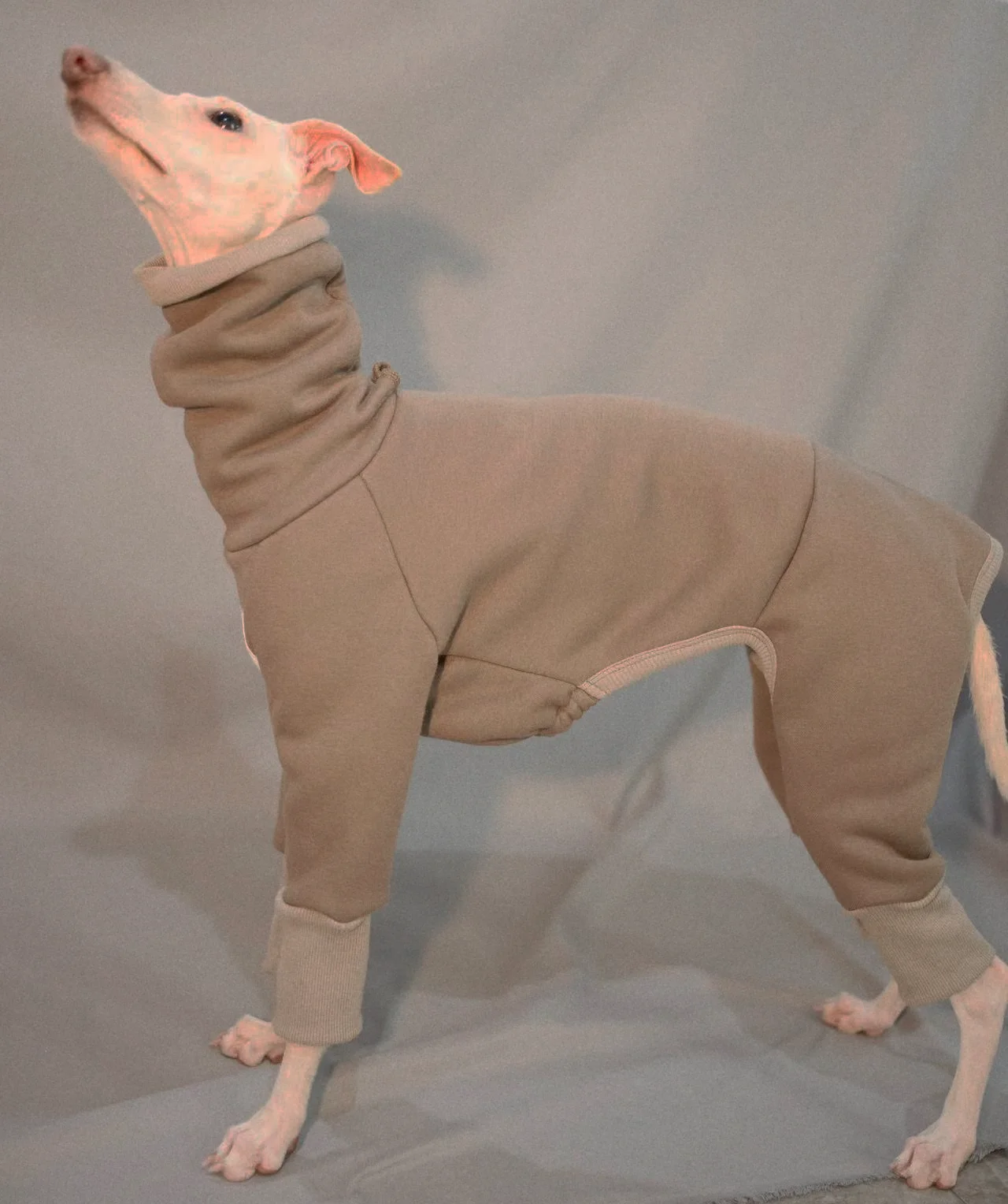 Mono gris para cachorros, sudadera whippet con cuello alto, abrigo cálido de terciopelo gris italiano - imagen 3