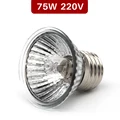 75W-2pcs