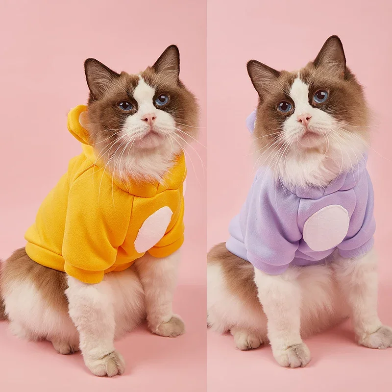 Sudadera con capucha para gato y cachorro, ropa de primavera y otoño, pulóver para gatito