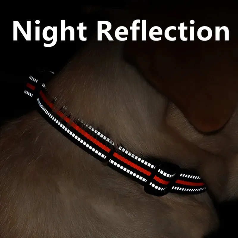 Collar reflectante para perros, Collar con anillo en D para caminar, ajustable, cadenas de nailon para mascotas, andador, suministros para mascotas - imagen 3