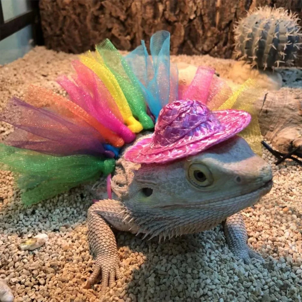 Sombrero de disfraz de dragón barbudo para lagartos, falda tutú y reptiles, disfraz para mascotas pequeñas, ropa, accesorios para fotos para Geckos, hámster, rata
