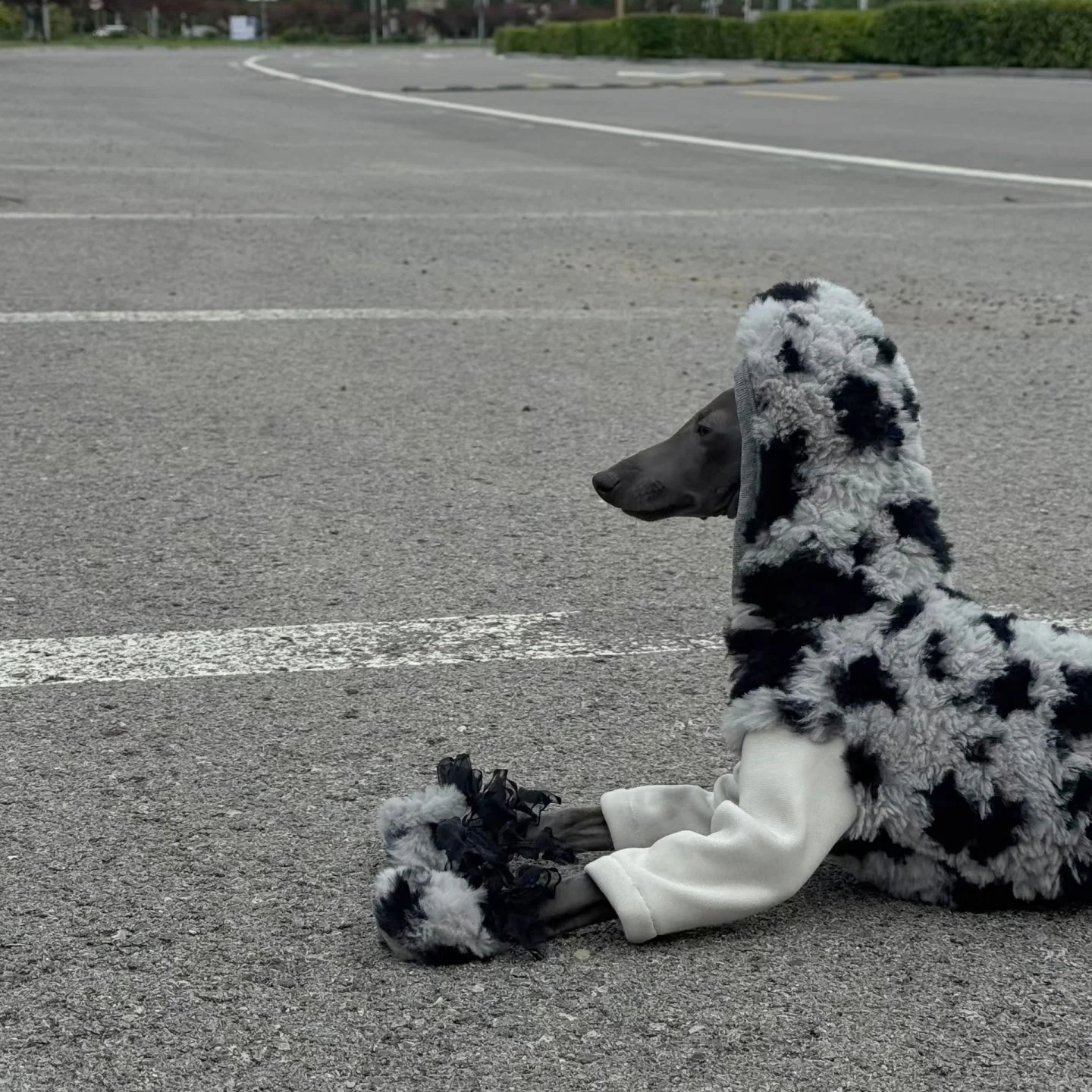 Suéter de leopardo con capucha para perros en invierno, abrigo suave de dos polares falso de 4 patas para galgos, mono cálido de cuello alto para Whippet - imagen 4