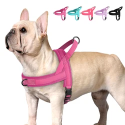 Arnes acolchado de nailon para perro y gato - chaleco ajustable