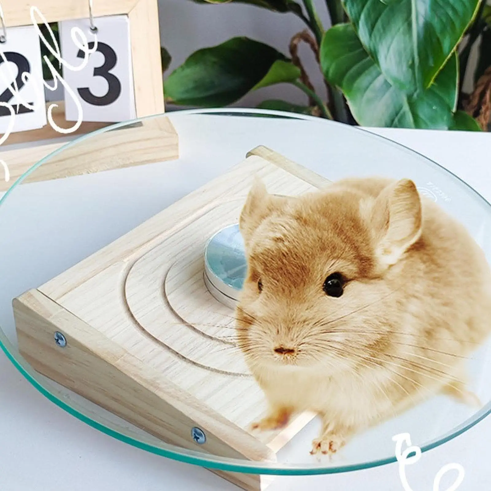 Hamster Wheel Platform Hamster Toy Smoothly Enrichment Toys Running Wheel Running Turntable Toy for Gerbils Hamsters Training