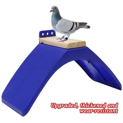 Perchas para palomas: marco de descanso azul para aves domésticas