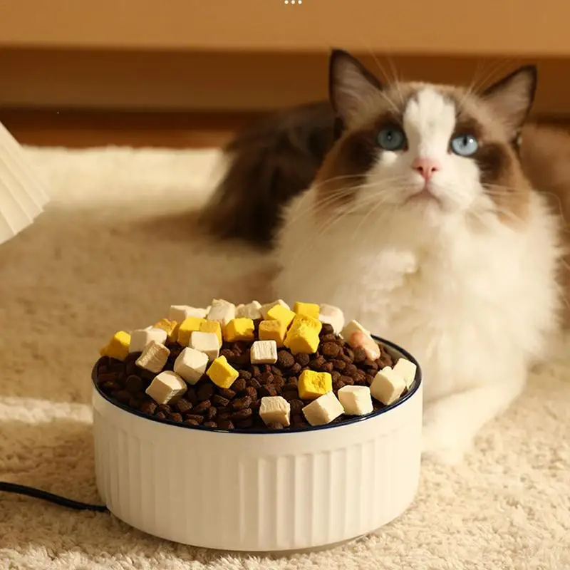 Cuenco térmico con calefacción para mascotas, cuenco térmico para comida y agua al aire libre para perros medianos y grandes - imagen 5