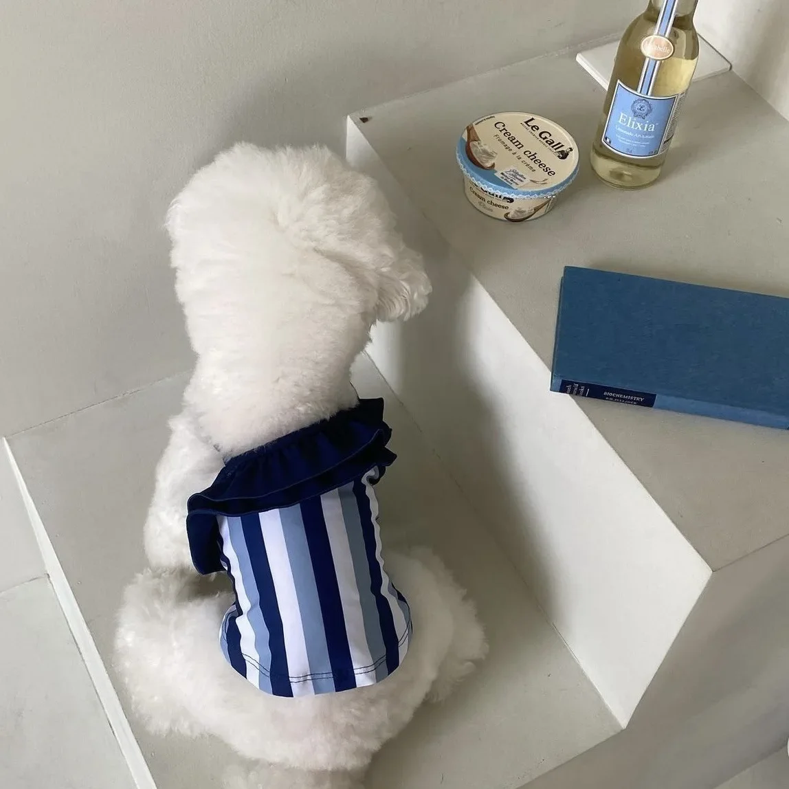 INS-Camiseta sin mangas de una pieza con tirantes a rayas para mascotas, Bikini para gato y perro, traje de baño transpirable de Lycra, tarjeta de pelo, diseño de moda - imagen 4