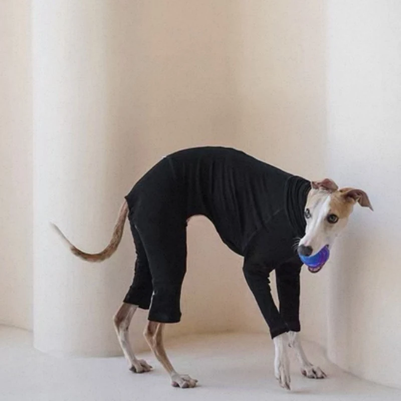 Mono de primavera de 4 patas para galgo italiano, camiseta interior de algodón suave de otoño para pijamas de cuello alto Whippet para perros Terrier