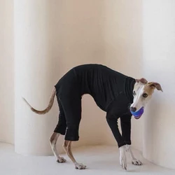 Mono de primavera para perros: galgo italiano y whippet, algodón suave