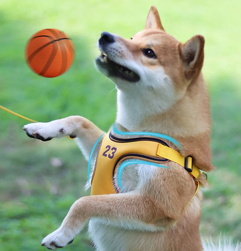 Chaleco deportivo de verano para mascotas, conjunto de arnés y correa para perros transpirables reflectantes para perros pequeños y medianos, arneses para cachorros Shiba inu Corgi - imagen 4