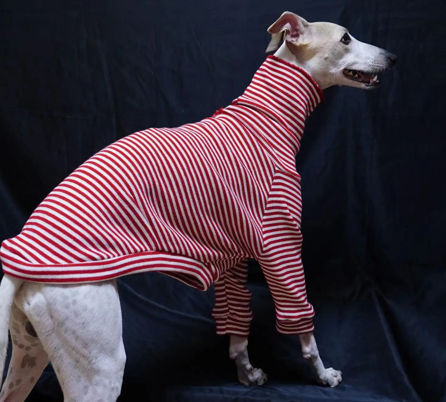 Suéter a rayas rojas de Galgo Italiano, cuello alto, acrílico suave, Navidad y Año Nuevo, Invierno - imagen 2