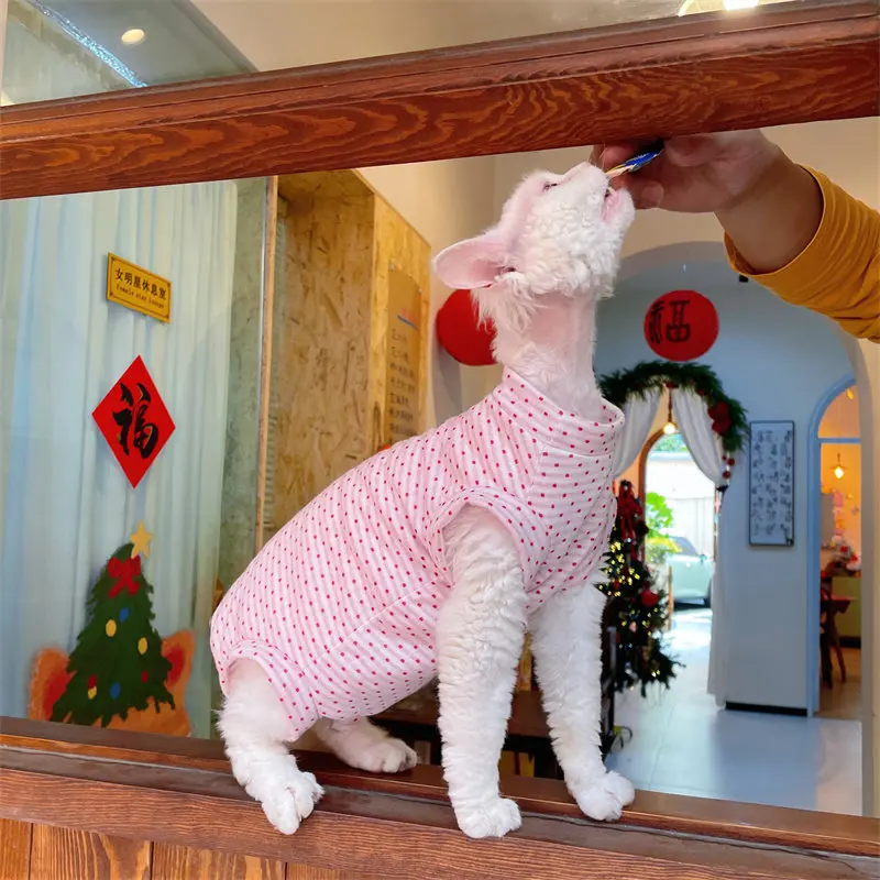 Ropa de verano aire acondicionado para gatos Sphynx y Devon Rex - imagen 4