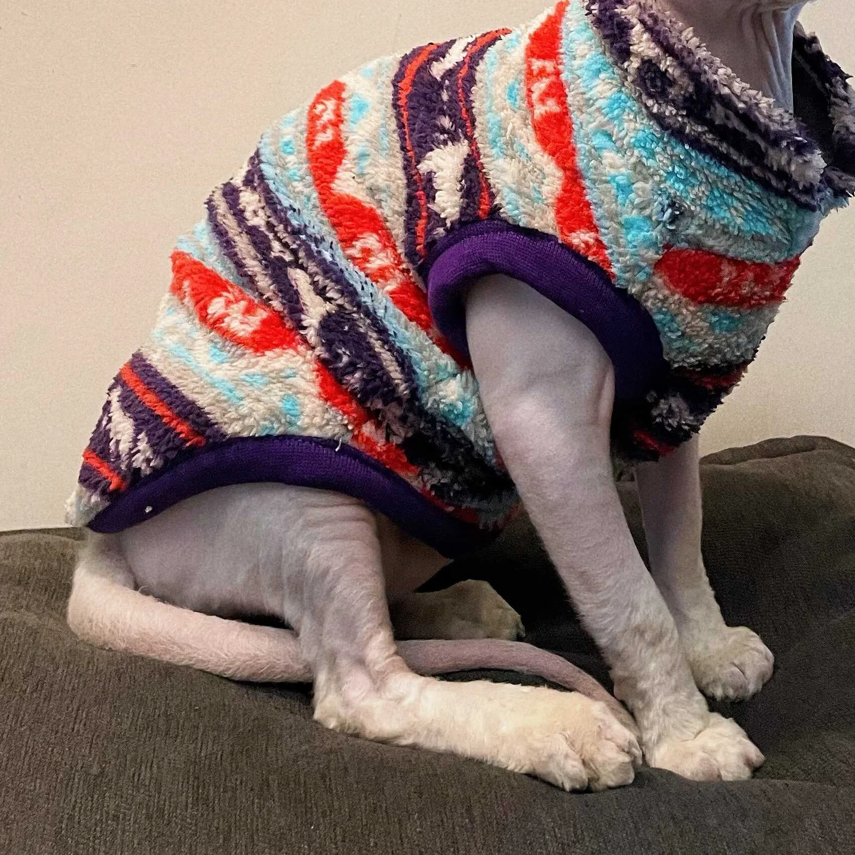 Disfraces de Año Nuevo para gato Sphynx, sudadera de lana colorida para gato sin pelo, pijamas gruesos de manga corta suaves de invierno para gatitos - imagen 5