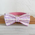 Dog Collar Bow Tie