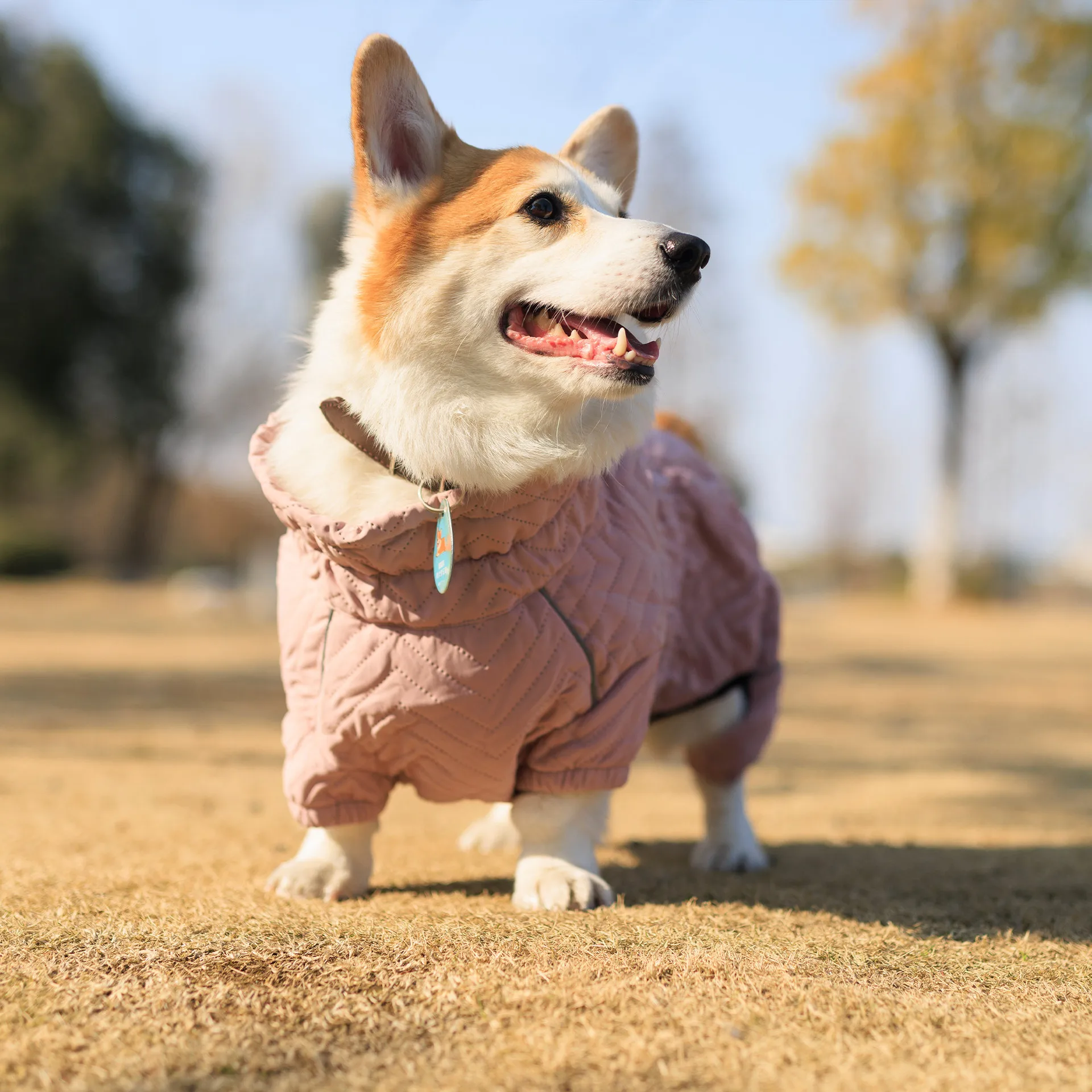 Nueva ropa de algodón impermeable para perros, chaqueta cálida para mascotas, productos para mascotas a prueba de viento gruesos de invierno - imagen 3