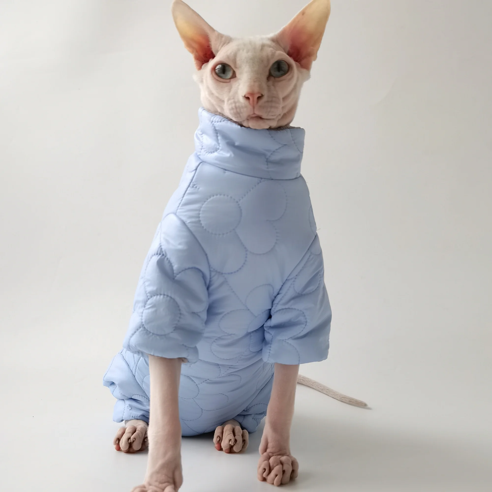 Chaqueta de algodón gruesa de 4 patas de invierno con botones en la espalda Abrigo azul cálido de manga larga para gato Sphynx fuera en clima frío - imagen 4