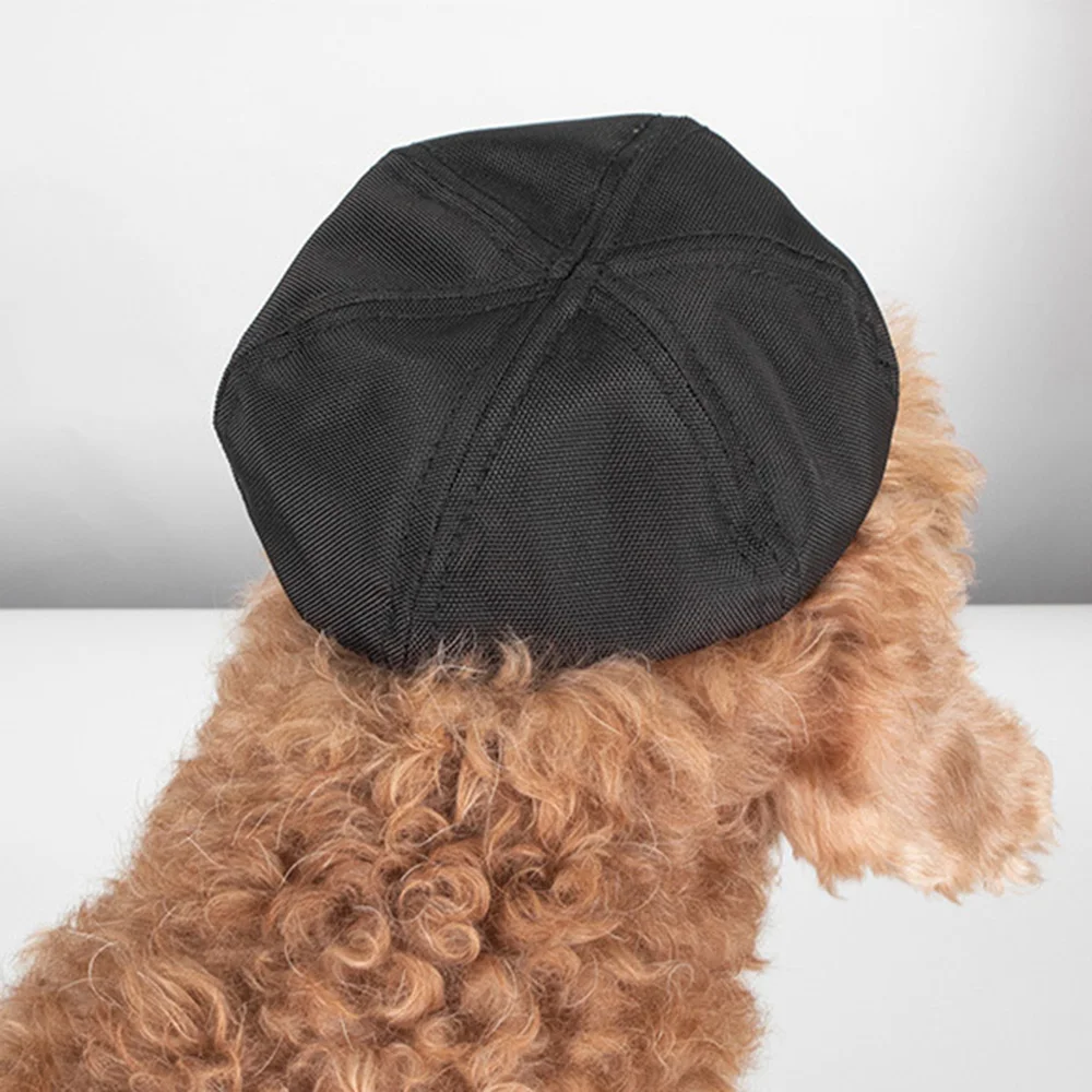 Gorra ajustable para gatos Sphynx y raza sin pelo - imagen 2