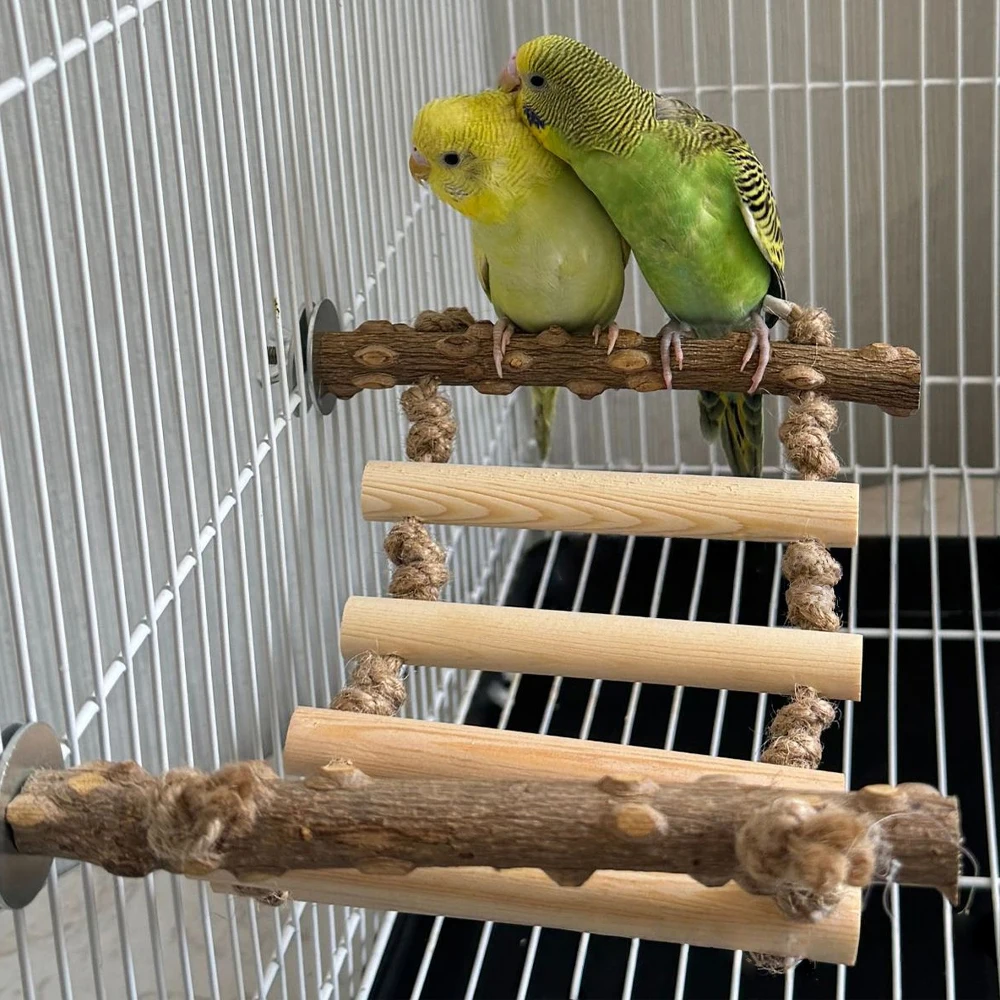 Escalera de madera interactiva para mascotas, juguete para loros y pájaros, jaula para hámster, palo de molienda divertido, juguete de escalada, accesorios para jaulas de pájaros, 1 ud. - imagen 3