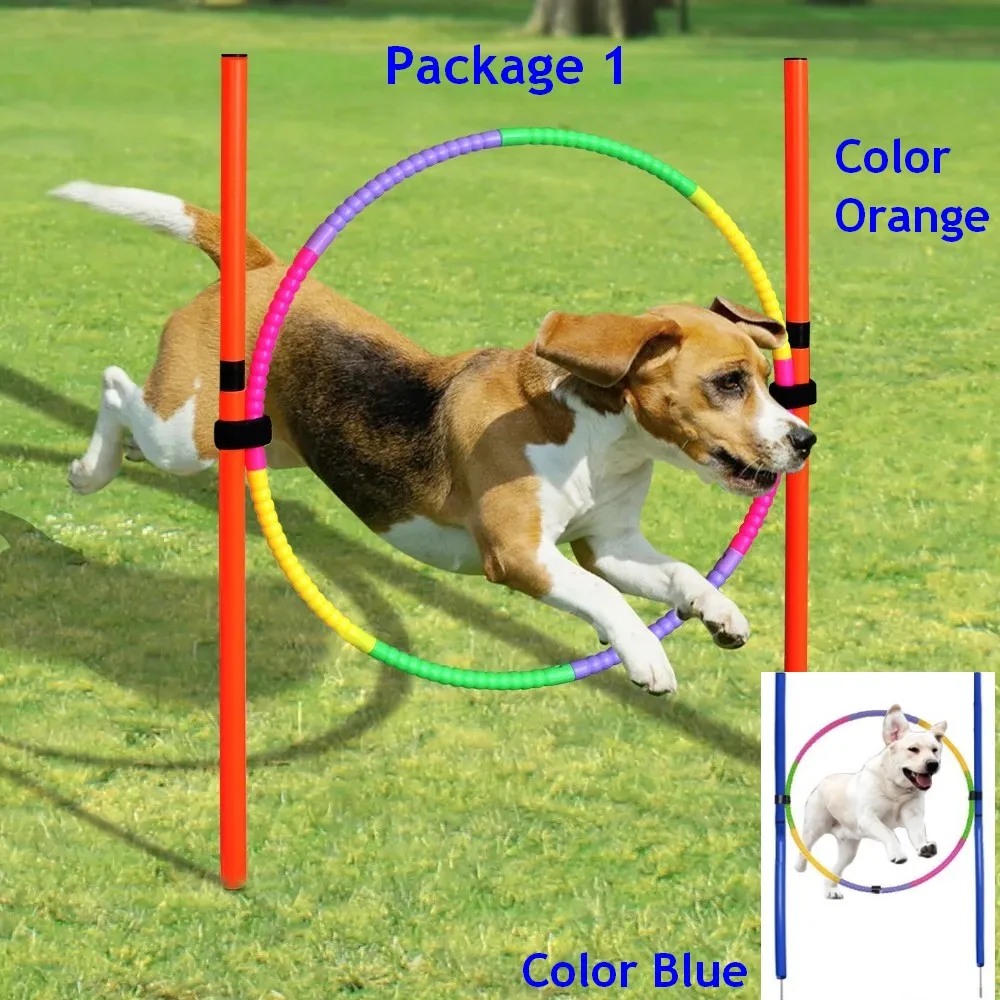 Equipo agilidad perros portátil: saltos y postes para entrenar fuera - imagen 3