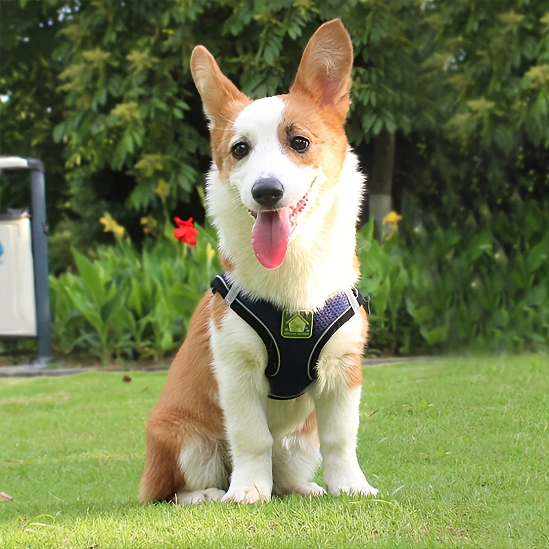 Juego de arnés y correa reflectantes para mascotas para perros y gatos, arnés sin tirar para chaleco para perros con malla transpirable - imagen 4