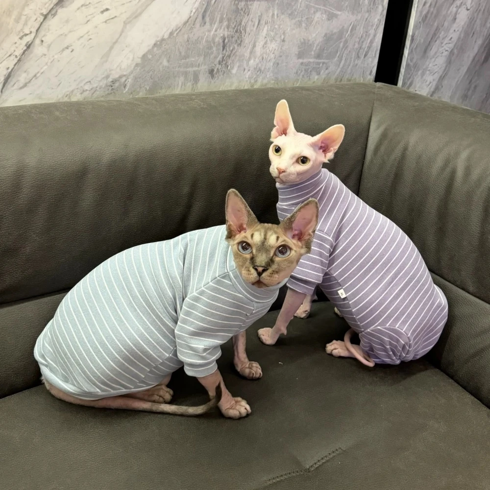 Abrigo cálido de algodón a rayas de 4 Patas para gato Sphynx, mono elástico de primavera para gatitos, ropa interior de invierno de cuello alto, ropa interior para Alex Rex - imagen 3