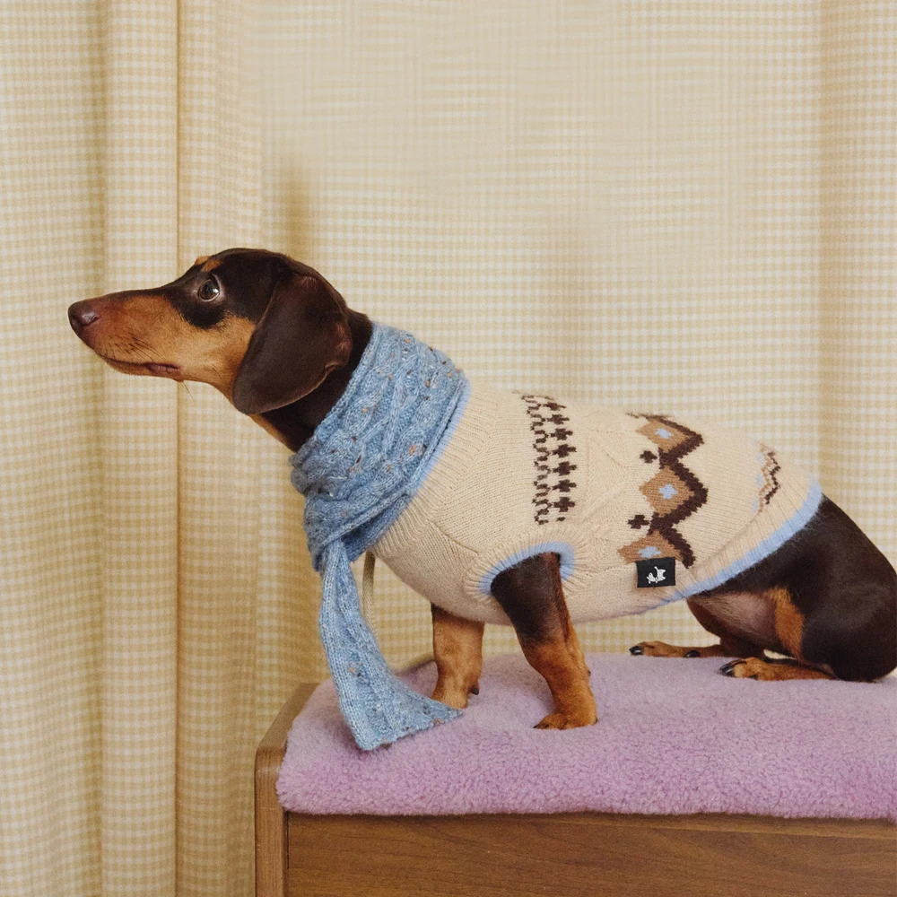 Jersey de punto para perro salchicha – Abrigo cálido artesanal - imagen 3