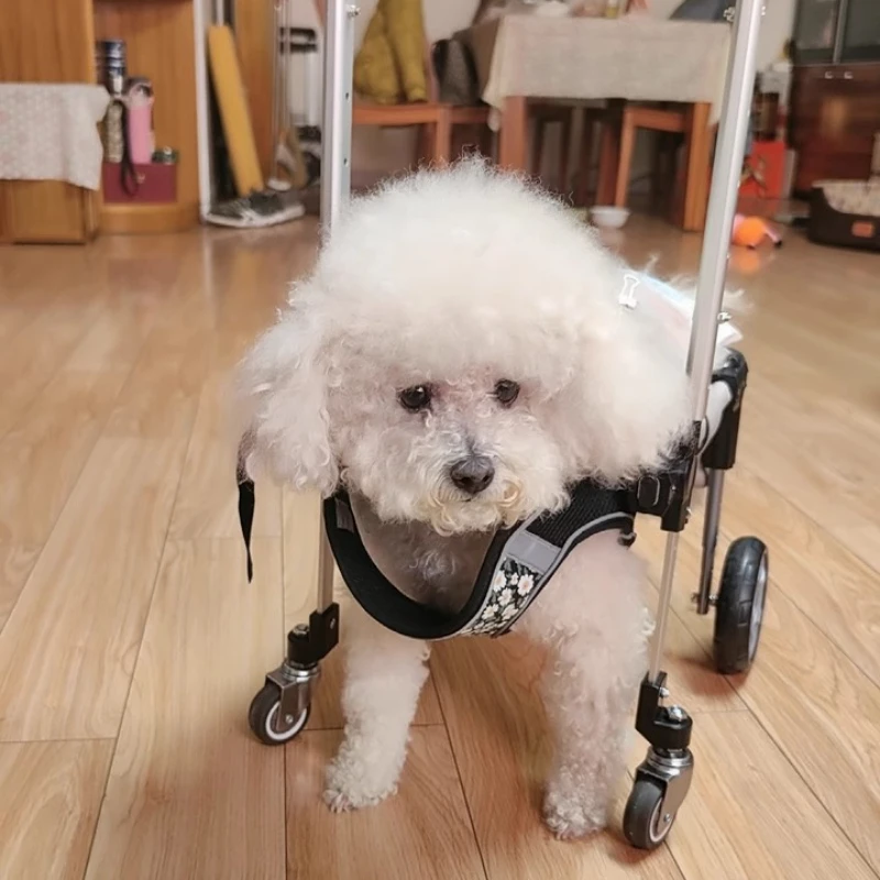 Silla de ruedas para perros de 2/4 ruedas para patas traseras, carrito de sillas de ruedas para perros/gatos con patas traseras para discapacitados, ayudas para caminar para extremidades traseras de mascotas pequeñas - imagen 2