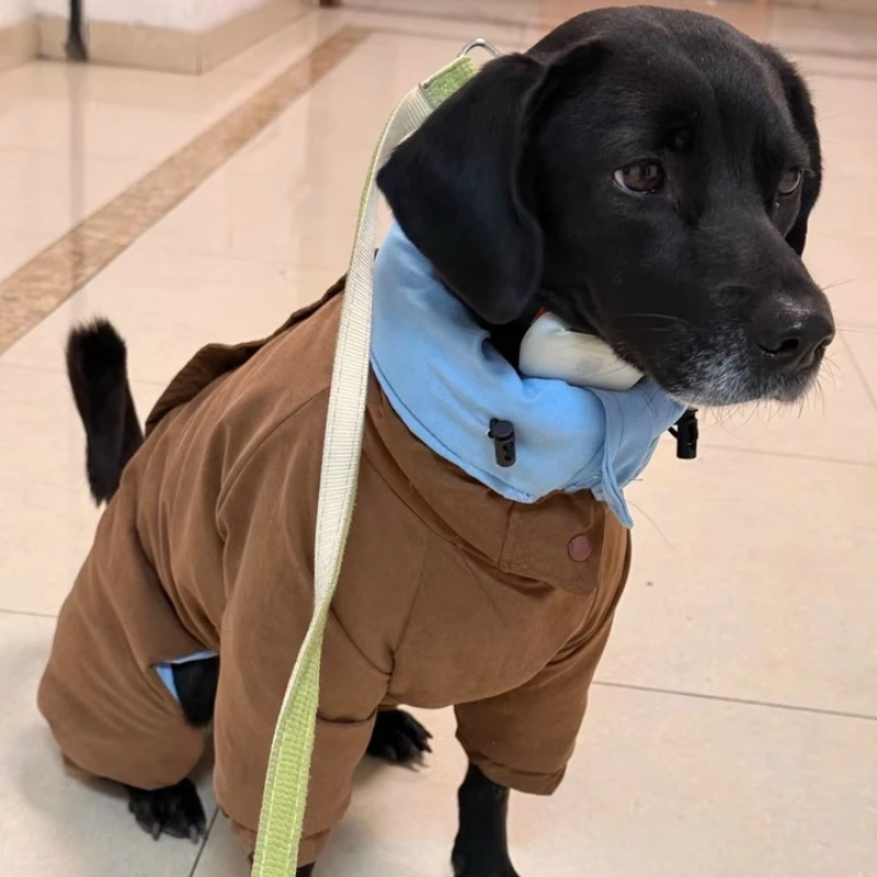 Chaqueta reversible para perros – Cuello alto, abrigada y resistente al viento - imagen 5