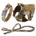 Camouflage Set