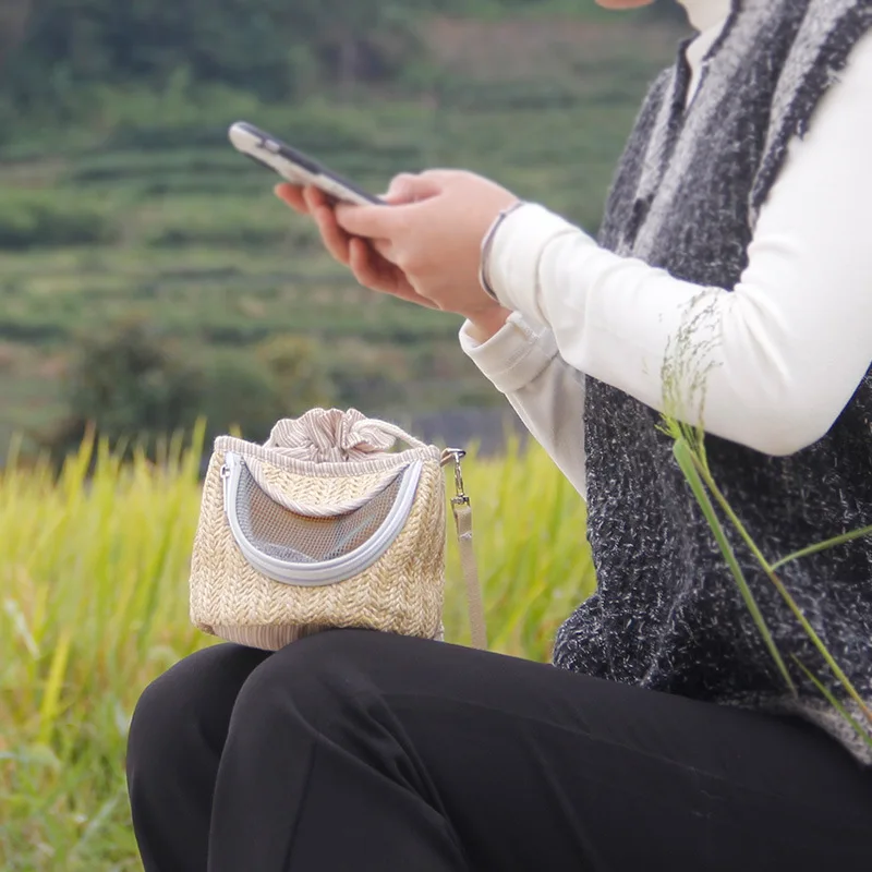 Suministros para mascotas, bolsa para hámster, mochila para salir, malla transpirable, bolsa para llevar fácil de animales pequeños - imagen 2