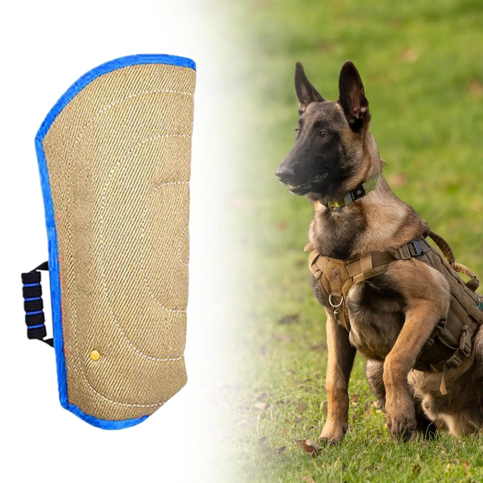 Dog Bite Pillow,Dog Training Biting Sleeves,Training Equipment,Portable,Dog Tug Toy,Tear Resistant,for Puppy Small Medium Dog