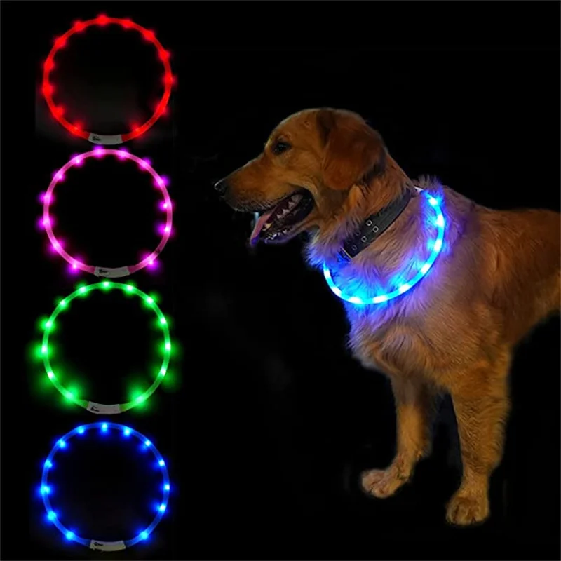 Collar de perro LED recargable por USB, collares de perro iluminados, luces intermitentes para caminar de noche - imagen 2