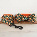 Bow Tie Collar Leash