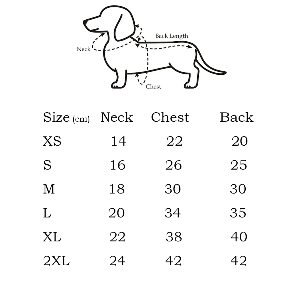Perro dachshund wearing striped outfit with cap